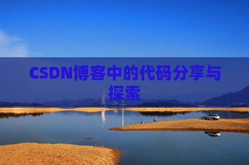 CSDN博客中的代码分享与探索